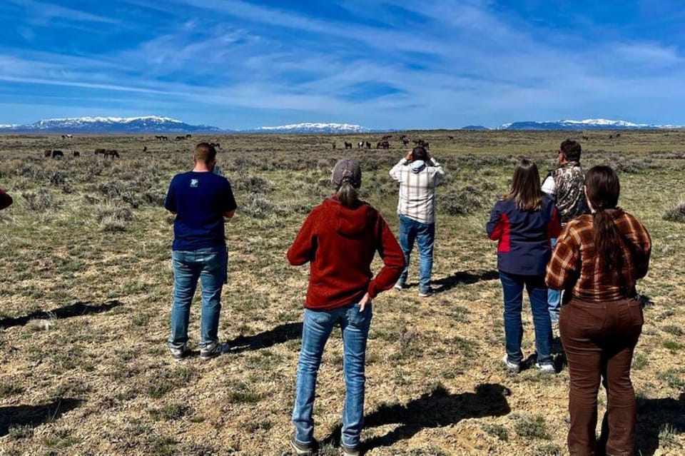 Cody: Wild Mustang Small Group Eco Tour - Spotting Other Wildlife