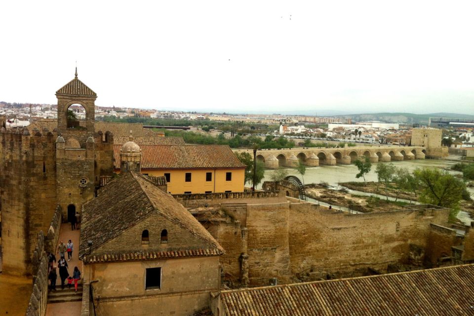 Cordoba Highlights Full-Day Tour From Granada - Customer Feedback and Ratings