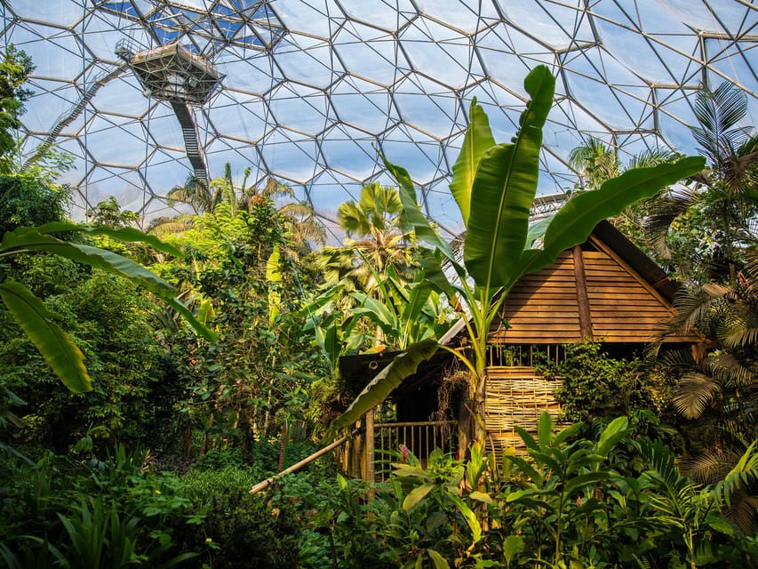 Cornwall: Eden Project Entry Ticket - Tips for Visiting