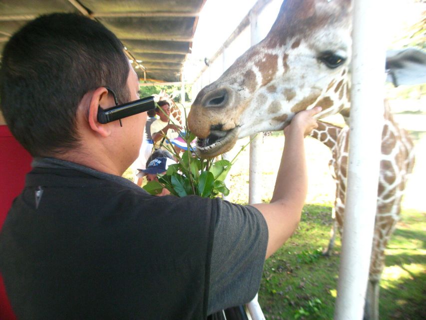 Coron: Calauit Safari Adventure - Customer Testimonials