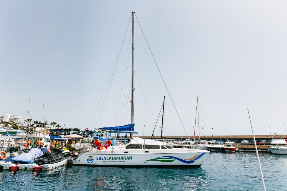 Costa Adeje: Whale Watching Catamaran Tour With Drinks - Onboard Amenities and Activities