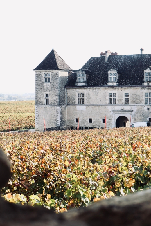 Côte De Beaune and Côte De Nuits: Private Full Day Wine Tour - Key Points