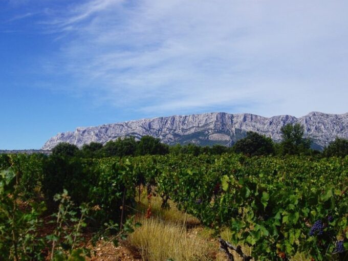 Coteaux D'aix: Sainte-Victoire Wine Tour & Cézanne Mill Visit - Booking Process and Options