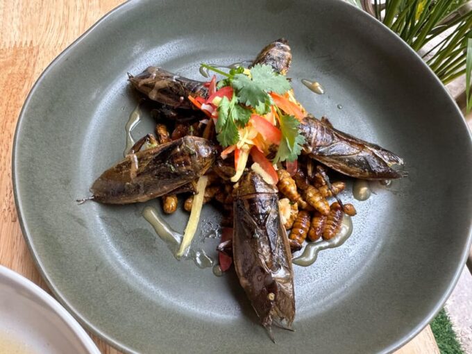 Creative Insect-Based Dinner - Booking and Cancellation Policies