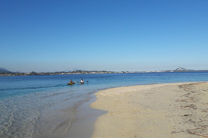 Cruise to Turtles Island and Caves With a Glass Bottom Boat - Experiencing the Lively Atmosphere