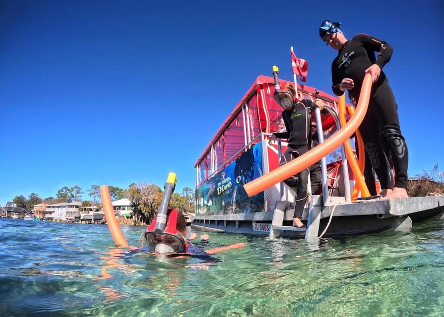 Crystal River: Swim and Snorkel With Manatees Tour - Manatee Viewing Opportunities