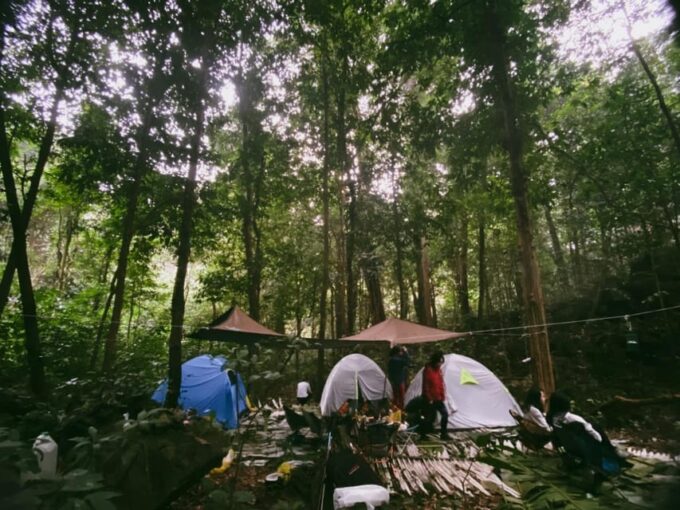 Cuc Phuong National Park: Trek & Camp in Jungle 2 Days - How to Book Your Adventure
