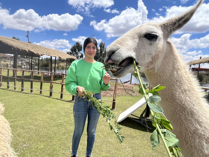 Cusco: Archeological Sites Tour and Forest Photo Experience - Customer Feedback