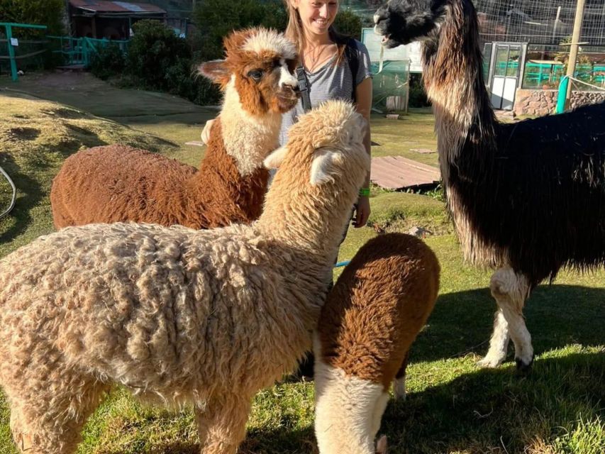 Cusco: Sanctuary of Animals Rescued Cochahuasi - Customer Reviews