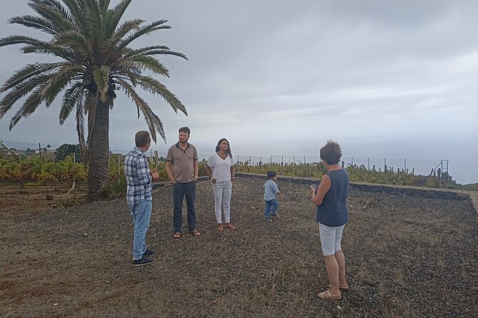 Custom Private Tenerife Full Island Car Tour - Tour Highlights and Attractions