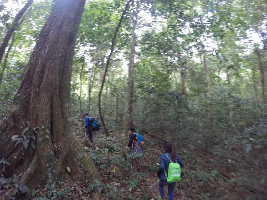 Dalat Jungle Fever Trekk - Wildlife Encounters