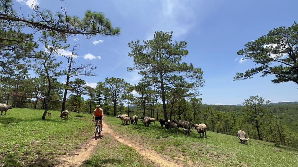 Dalat Mountain Biking Tour - Appreciation for Guides