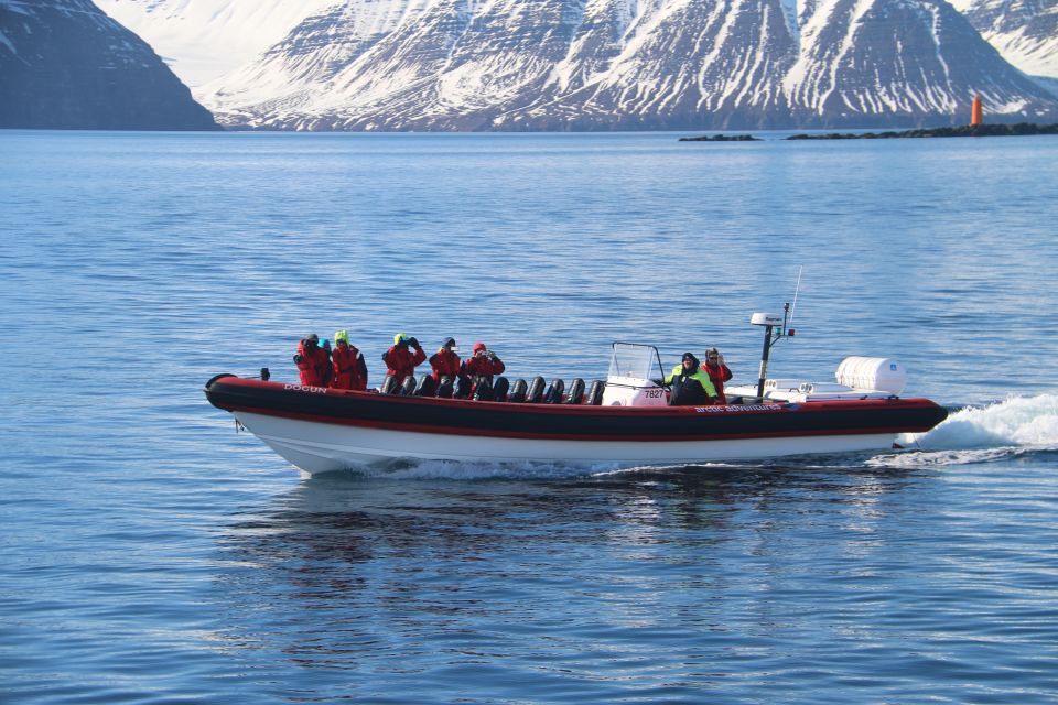 Dalvík: Whale Watching Speedboat Tour - Customer Reviews and Ratings