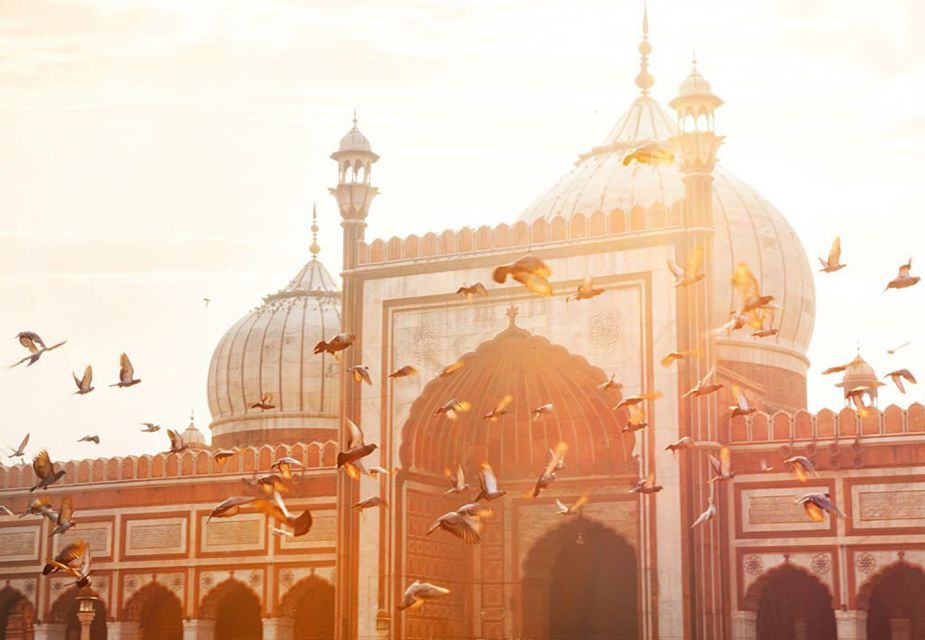 Delhi: Private Day Tour of Old and New Delhi - Booking Information