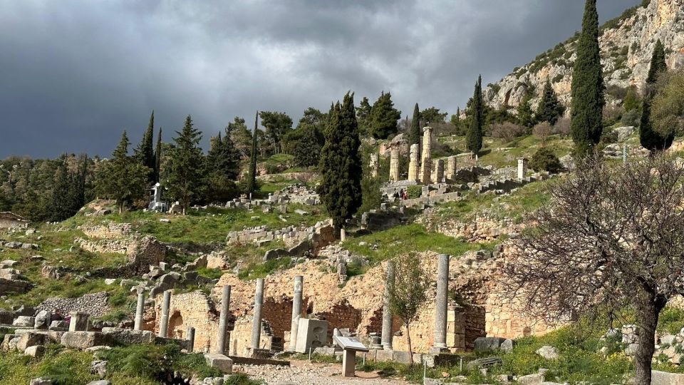 Delphi Navel Of Earth Hosios Loukas Full Day Private Tour - Customer Reviews