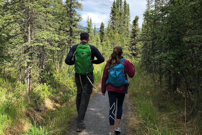 Denali National Park Walking Tour - What to Expect on the Tour