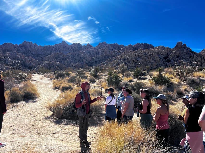 Desert Nature Walk + Cacao Ceremony + Soundbath Meditation - Benefits of Cacao Ceremony