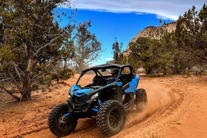 Dianas Throne UTV Adventure Near Zion National Park - Booking and Cancellation Policy