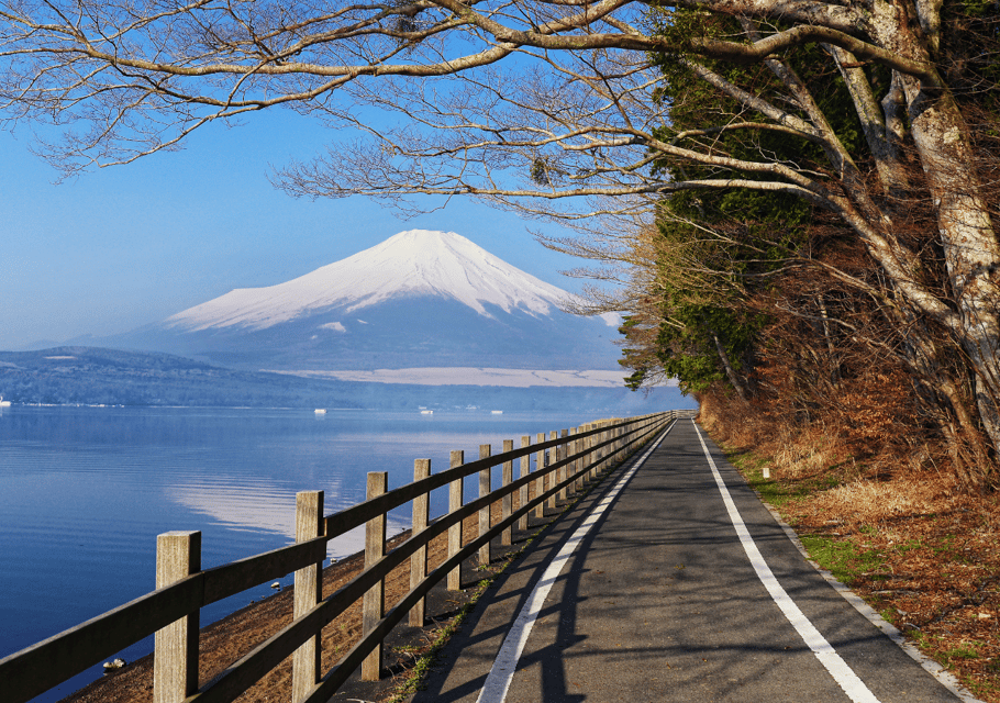 Discover Mount Fuji: Private Car/Van Day Tour From Tokyo - Frequently Asked Questions