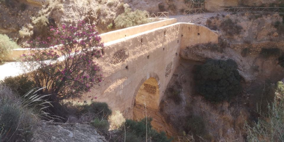 Discovering Las Alpujarras From Málaga - Semiprivate - Walking Tour of Pampaneira