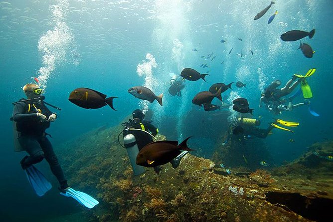 Dive at Tulamben Bali USS Liberty Ship Wreck - Best Time to Dive