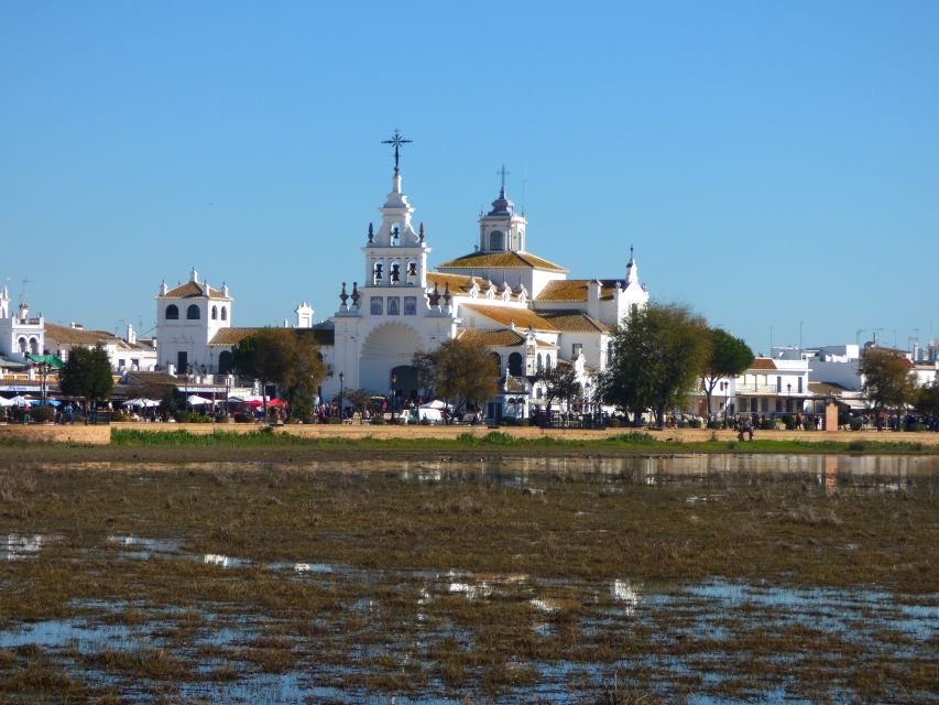 Doñana National Park Off-Road Tour From Seville - Visiting El Rocío and Coto Del Rey