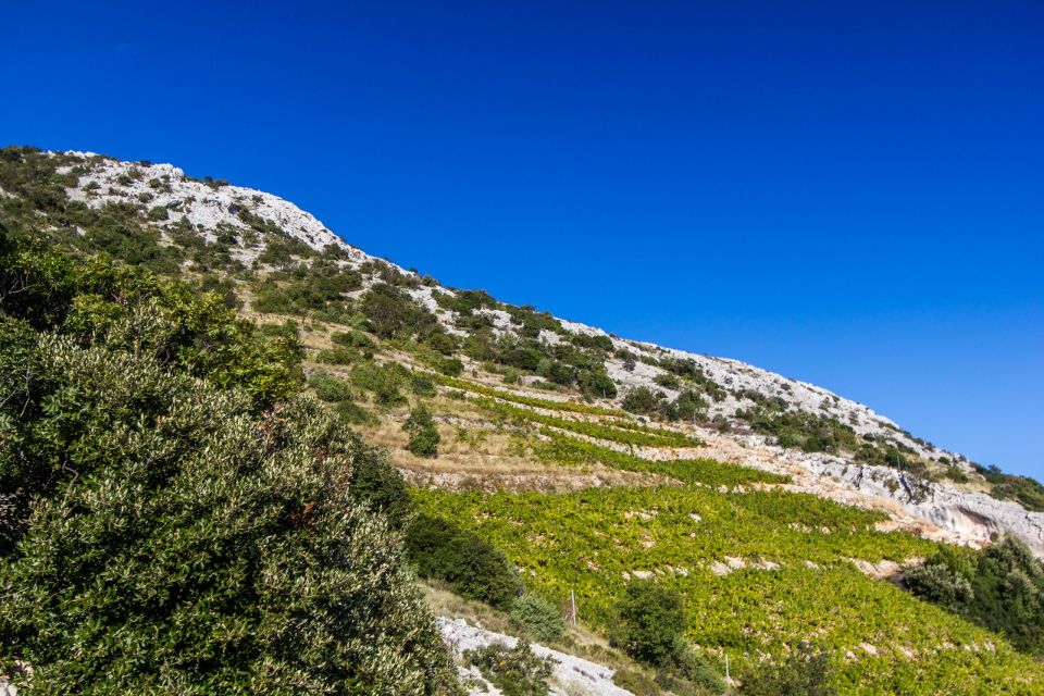 Dubrovnik: Day Trip to 3 Peljesac Wineries With Tastings - Weather Considerations