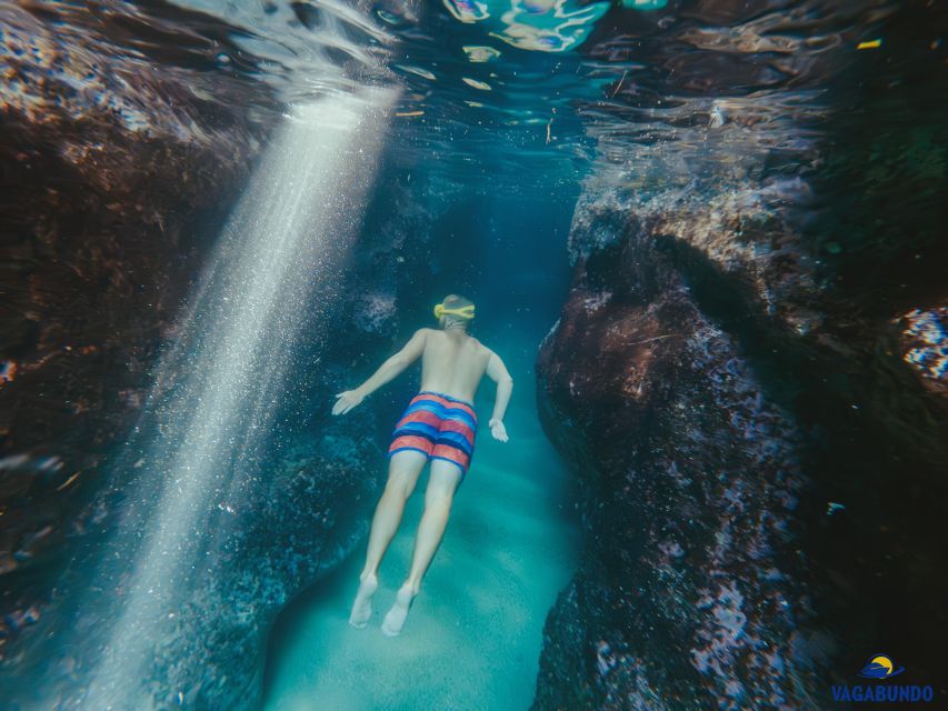 Dubrovnik: Morning Blue Cave Speedboat Tour With Drinks - Snorkeling Equipment and Tour Guide Services