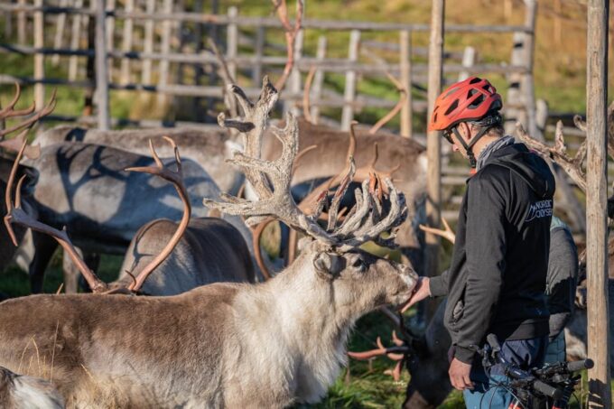 E-FATBIKE TRIP TO THE REINDEER FARM - Important Restrictions
