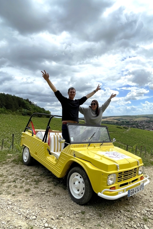 E-Mehari Tour and Tasting Chablis Clotilde Davenne - Frequently Asked Questions