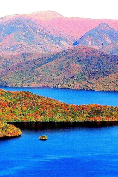【Tokyo】 Nikko: Group Bus Tour - Frequently Asked Questions