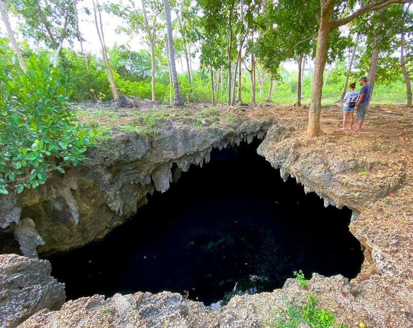 East Bohol: Anda, Rice Terraces, Waterfalls, Lamanok Island - Waterfall and Rice Terraces