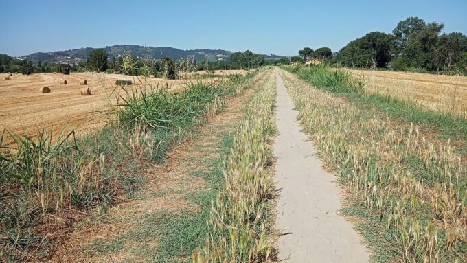 Easy Gravel Bike Tour With Organic Pic Nic in the Park - What to Bring