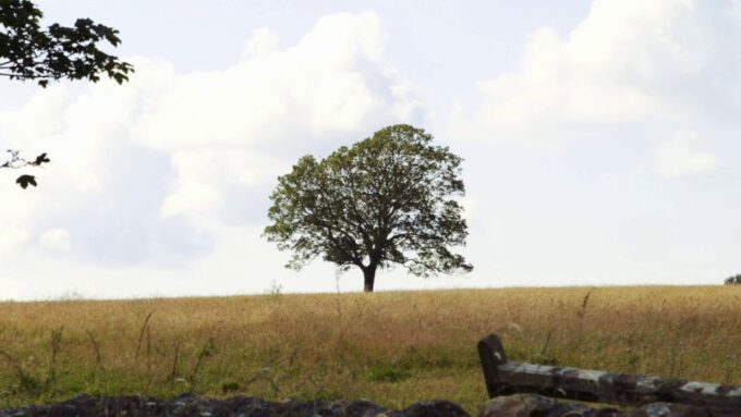Edinburgh: Rosslyn Chapel and Hadrian's Wall Tour in Spanish - Travel Tips