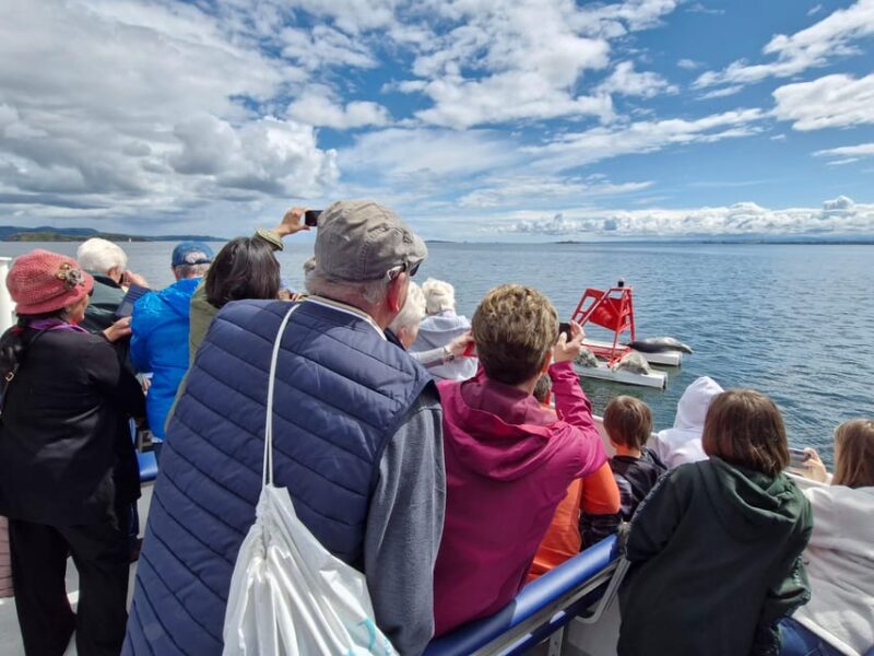 Edinburgh: Sightseeing Bus Tour & Inchcolm Island Boat Tour - Inclusions and Exclusions
