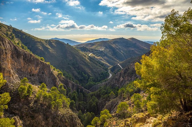 El Saltillo Gorge and White Village Hiking Tour From Malaga - Cultural Interactions and Flora