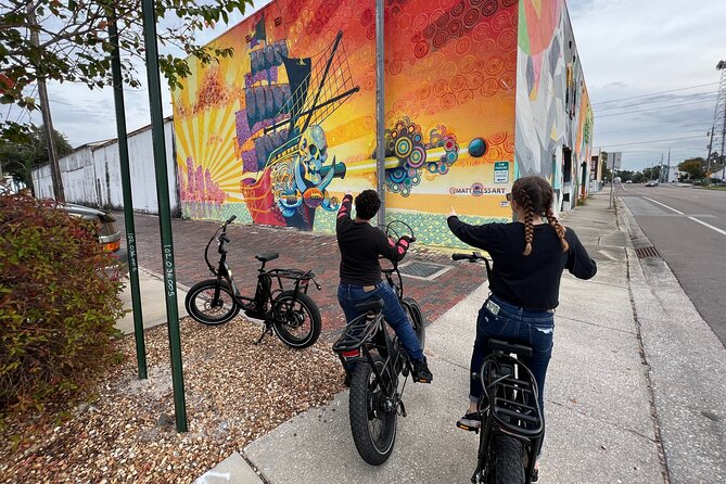 Electric Bike Guided City & Mural Tour - Booking Process and Pricing