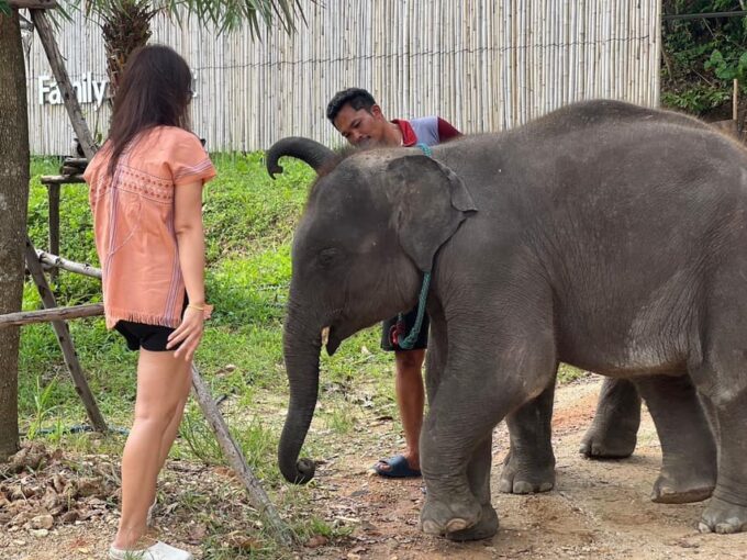 Elephant Experience With Transfers and Thai Food Buffet - Photography