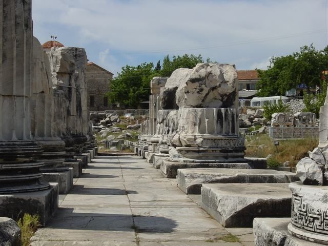 Ephesus, Priene, Miletos and Didyma Tour - Booking Information