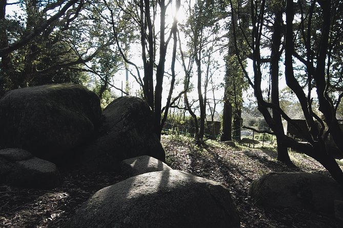 Epic Off-Road Adrenaline in Sintra - Local Cuisine and Culinary Delights