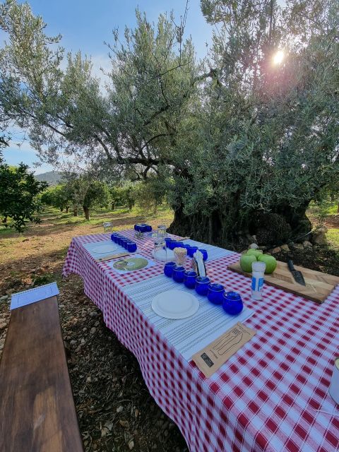 Ermioni: Olive Oil Tasting & Millennial Olive Tree Tour - Frequently Asked Questions