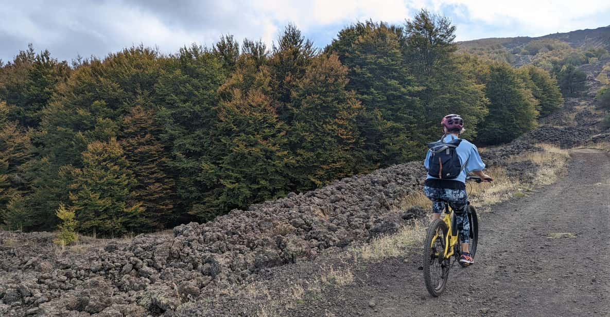 Etna in E- Bike and Wine Taste Experience - The Wine Tasting Aspect