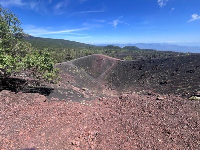 Etna & Wine Tour - Customer Reviews and Testimonials