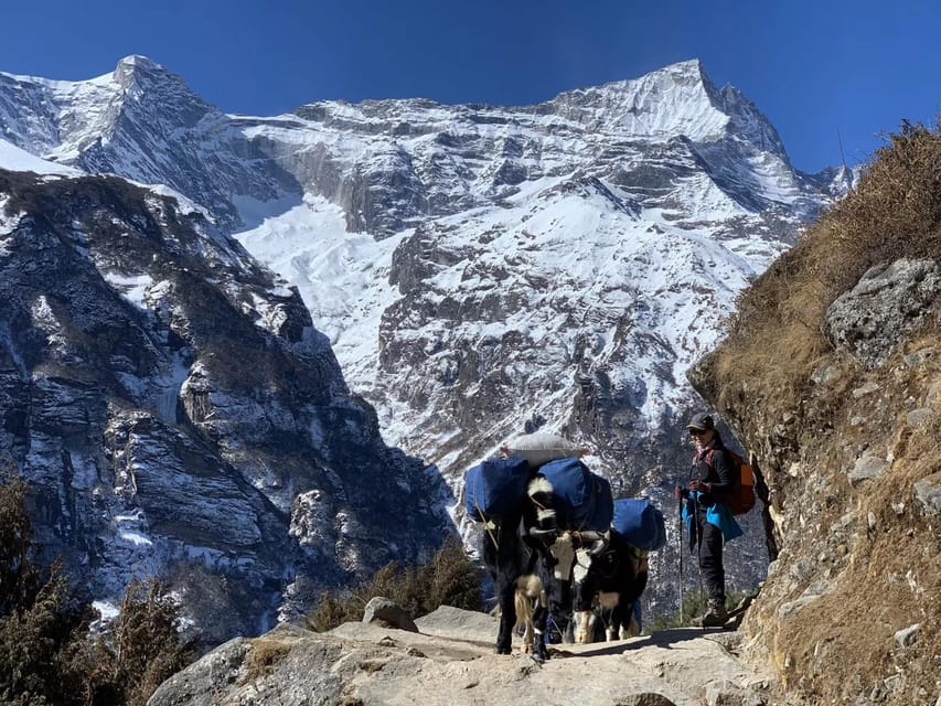 Everest Base Camp Trek by Helicopter Return -11 Days - Cultural Experiences Along the Way