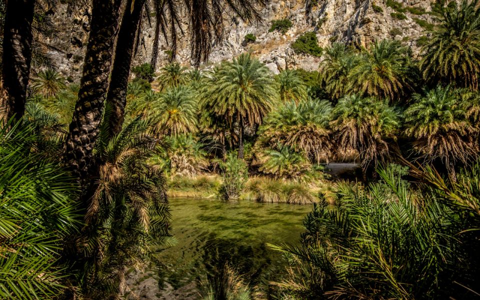 Explore Preveli Palms, Damnoni Beach & Historic Rethymno - Activities and Experiences