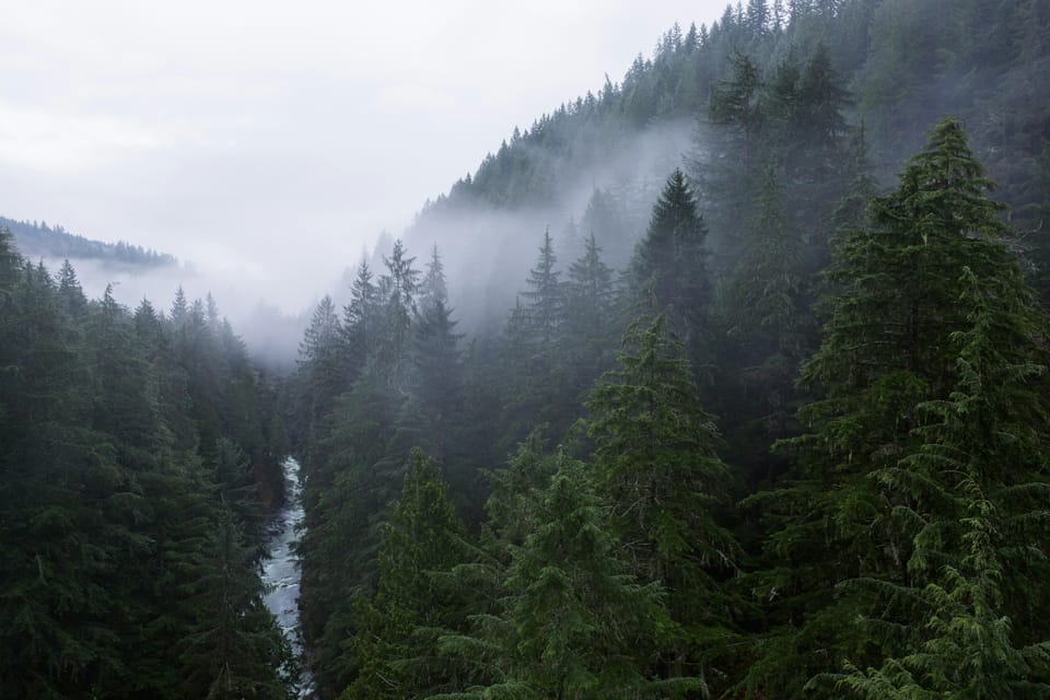 Explore Snoqualmie, Waterfalls and an Ancient Forest - Unsuitable Factors and Restrictions