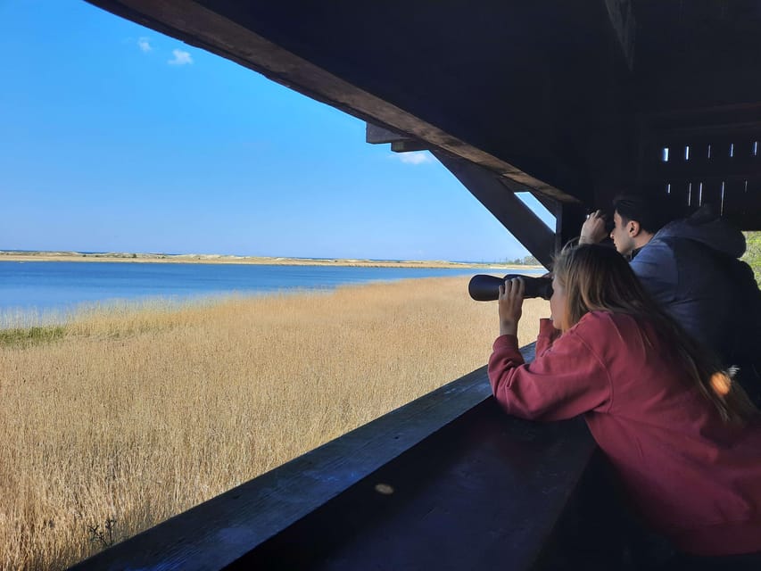 Explore Sobieszewo Island: Nature Walk & Wildlife Tour - Preparing for the Tour