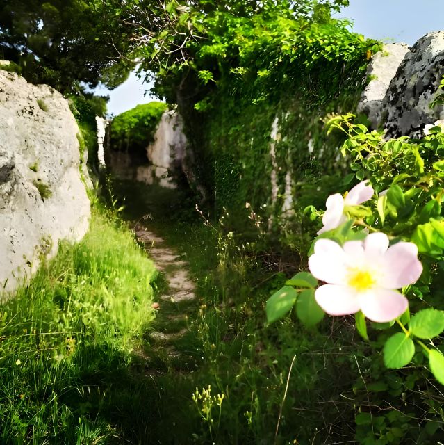 Explore the Murgia Materana UNESCO Park - Inclusions and What to Expect