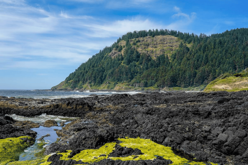 Explore the Oregon Coast: Scenic Driving Tour - Experiencing the Oregon Coast