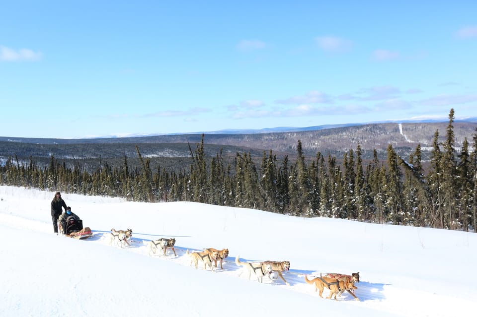 Fairbanks: 1-Hour Alaskan Winter Dog Sledding Adventure - Tips for a Memorable Experience